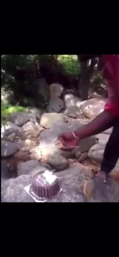 Monkey do be pretty fast tho