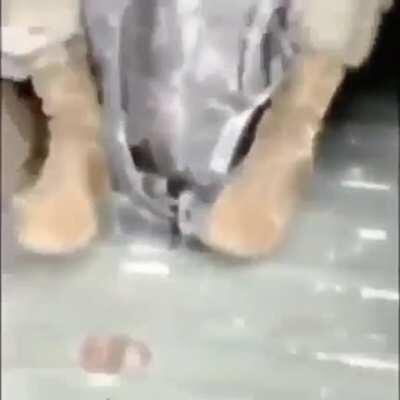 Carola - Video #6621