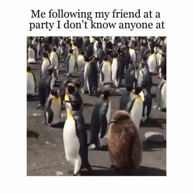 Me at parties