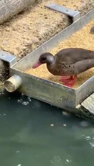 Держите, братишки