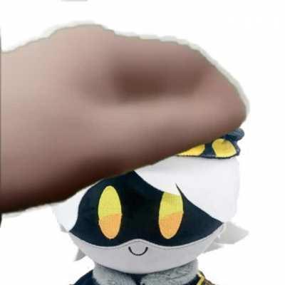 PET THE WHOLESOME BOI