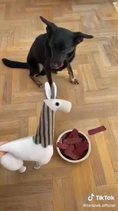 Dog thinks food is deadly to eat 😂