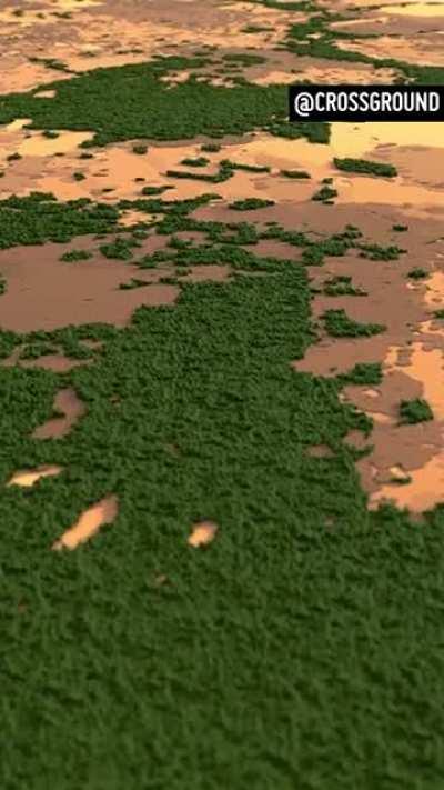 [OC] 20 years of deforestation in the Amazon