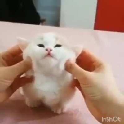 HUEstation - Video #4218