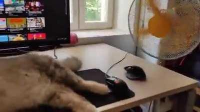 this is the only way to do homework on a hot day..