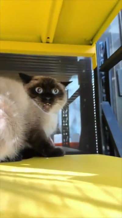 His flabbers were gasted