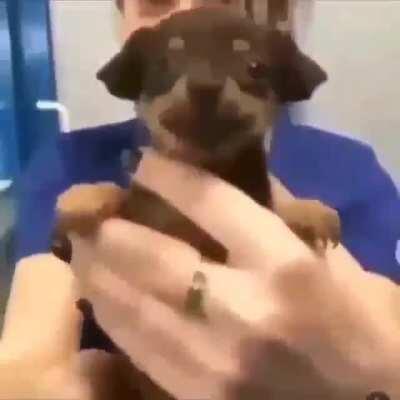 Alguien tiene el video de ¿Y la bebé?