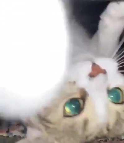 Gravity does not compute...