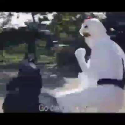 Thats.... that's really something