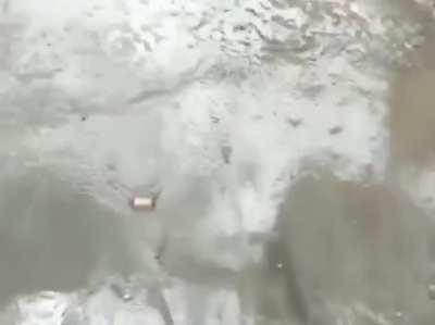 The Beautiful Beach Is Every Kids Dream