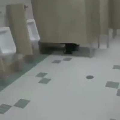 toilet