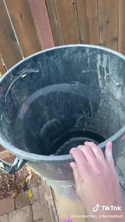 Se bugio el universo 🤯🤯