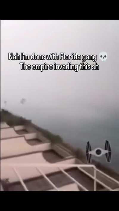 What is going on in Florida 🥀