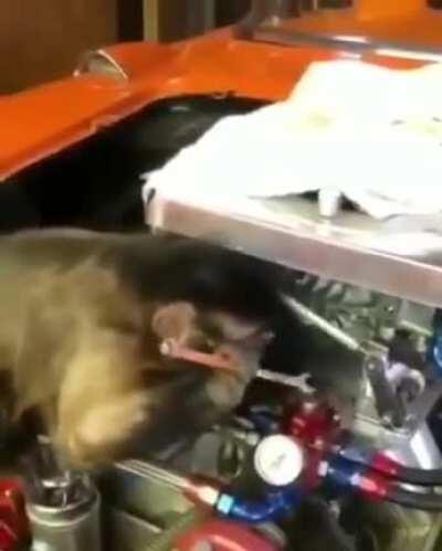 Altamente professoal, capacitado