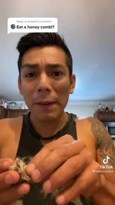 man eats wasp honey comb, just listen to that rice krispy crunch