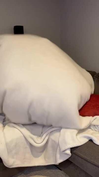 Tiktok thot hates it when she loses the remote 🤦🏽‍♀️