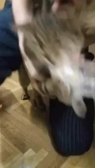 “I regret nothing! Do hear me? Nothing!”