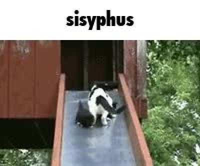 One must imagine this cat happy