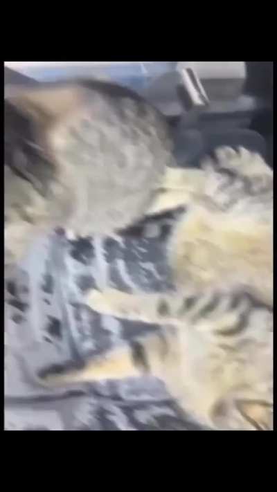 O cara começou uma briga de graça