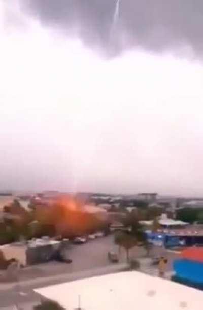 When someone killed your favorite creature: