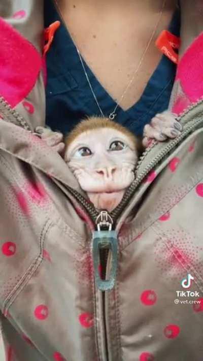 Waiting for the market to open like