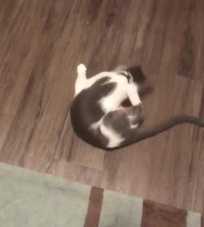 she attacks her butt, but the butt attacks back