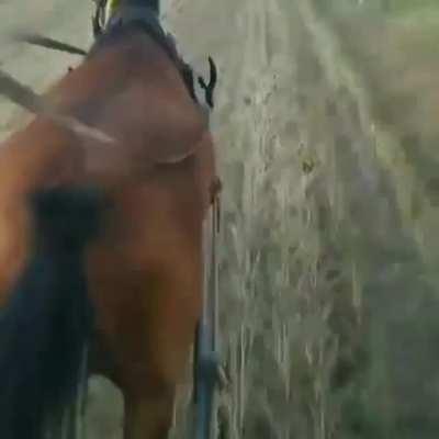 credit @roccmanelebauturasifemei pe imsta