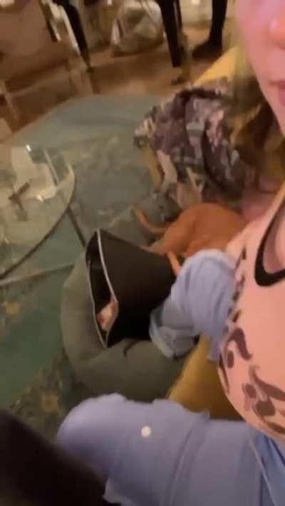 Billie Eillish slapping her gigantic knockers