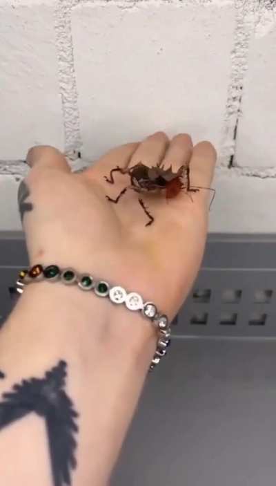 The tiny egg and the life it produced