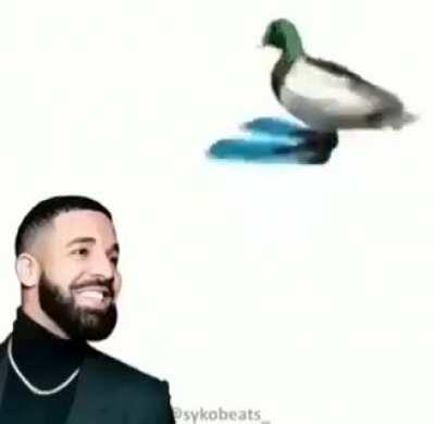 Duck (from the anime Dark Souls) vs. Drake (from the anime Hip-Hop)