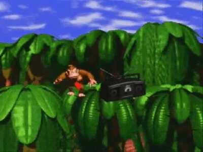 I DONT FUCKING NOW HOW AND WHO, BUT I NEED A DONKEY KONG BATTLE IN FRIDAY NIGTH FUNKIN