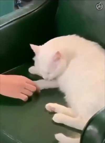 Да и похуй вообще