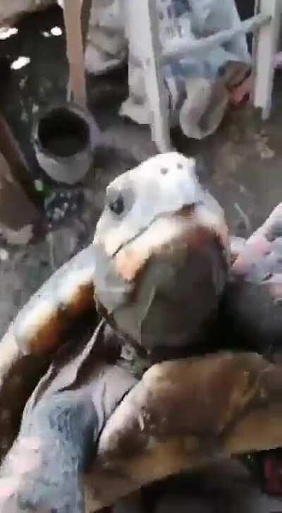 Thanks I hate society