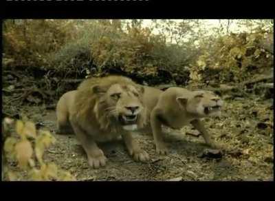 Photographer is f*ked up