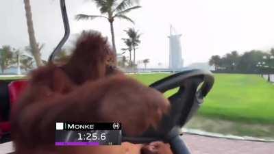 Racing monke