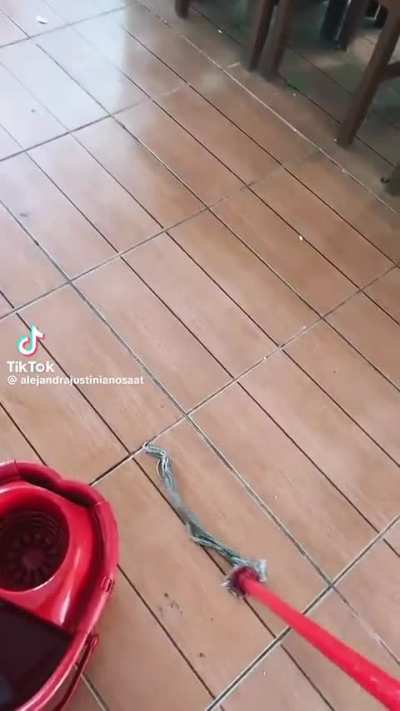 Never back down. NEVER WHAT??