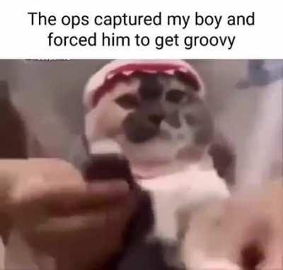 Fate worse than a boogie