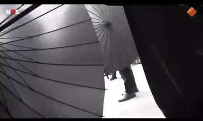 Weedguo CIA spy detained 🤜🇨🇳