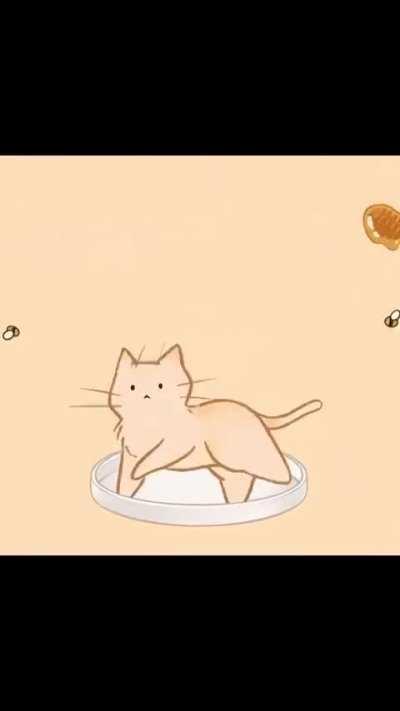 Wunks are friends, not food 