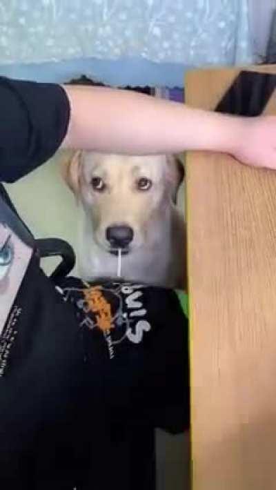 His eyes are too cute.