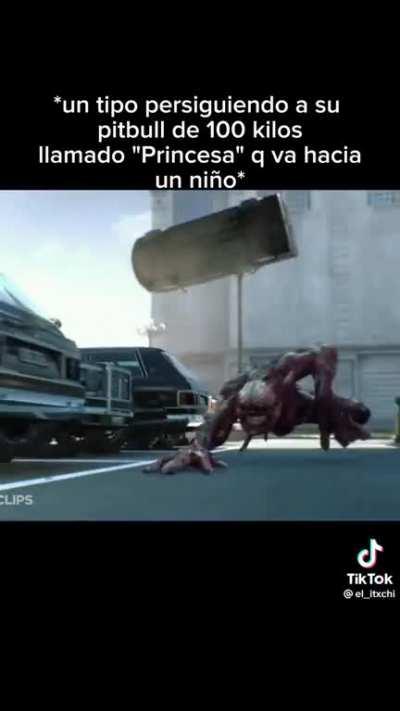 Amo Beelce!!! El perroooo!!