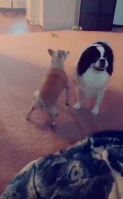 to impress the girlfriend