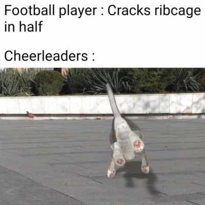 Invest if you love cats