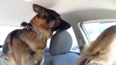 Showing up to the vet