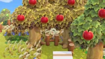 No wonder I couldn't find Marshal anywhere the island