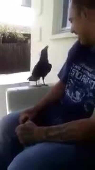 HUEstation - Video #2710