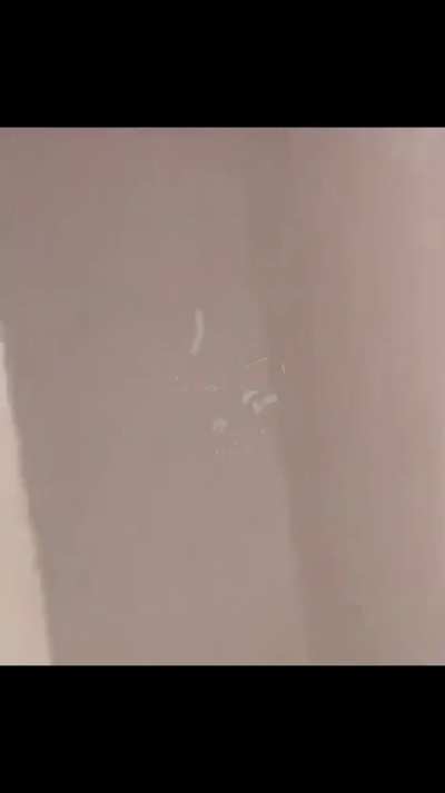 Bully Runs up on Kid with Knife