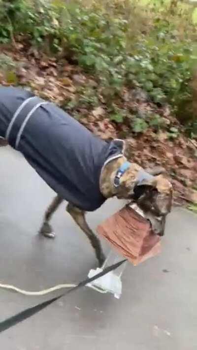 We are redecorating. How do you like it ?