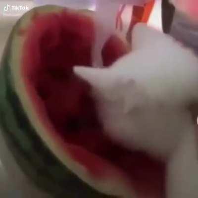 Que melancia gostosa