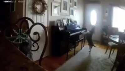 this incredible singer is also a very talented pianist